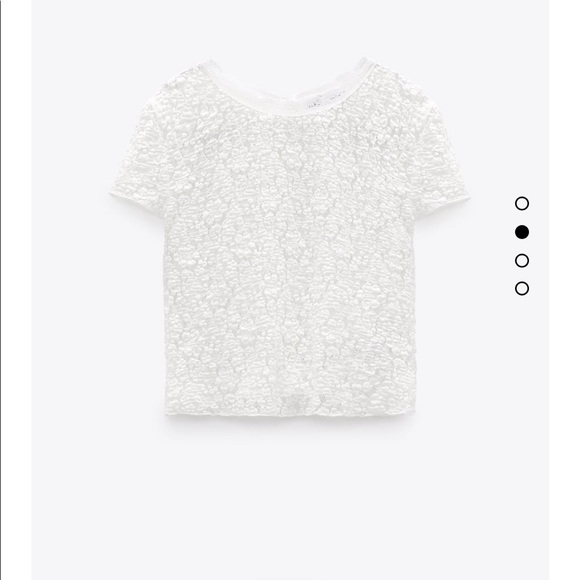 Zara lace top - Picture 3 of 6